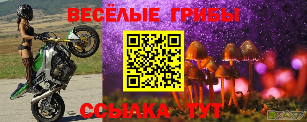 Азов  Галлюциногенные грибы Psilocybe  Вход с VPN 